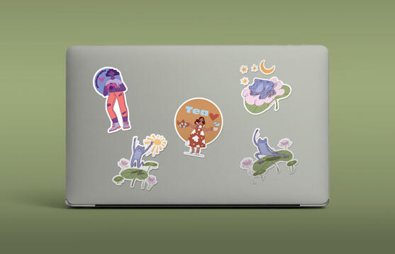 Laptop with frog and woman with photocamera stickers